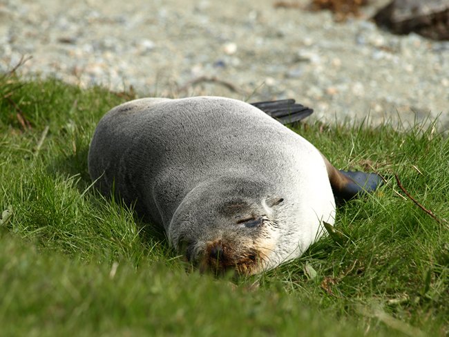 ../../Pictures/231209/093 Nationalpark Tierra del Fuego.JPG